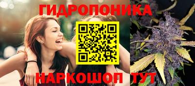 молекула духа Волгодонск
