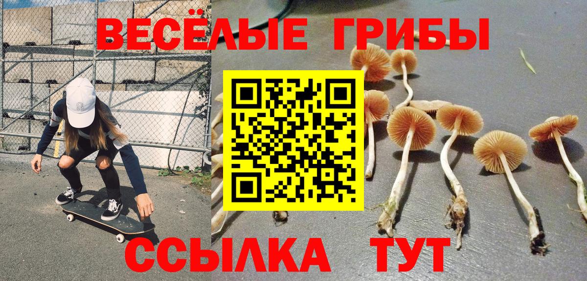 Галлюциногенные грибы Psilocybine cubensis Рубцовск
